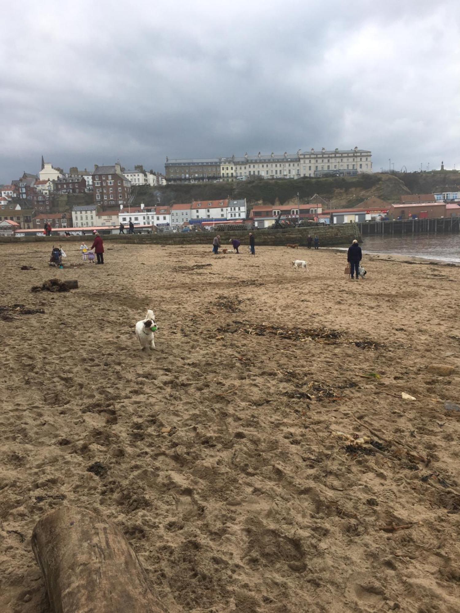 Harbour Penthouse Whitby 아파트 외부 사진